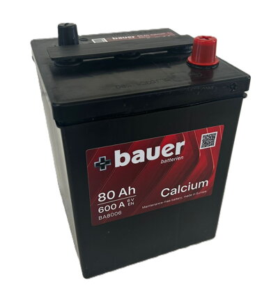 Bauer Batterien Calcium 190919047 6V 80Ah 600A