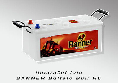 Autobaterie Banner BUFFALO BULL HD 180Ah 950A  680 89