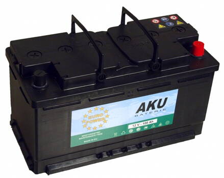 Autobaterie EURO POWER 100Ah 800A  